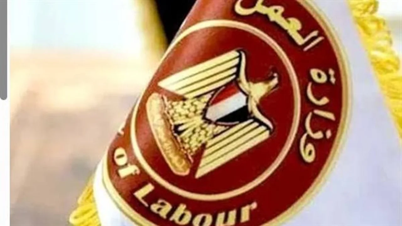موعد حاسم.. غلق باب التقديم على وظائف الكهرباء الأسبوع المقبل
